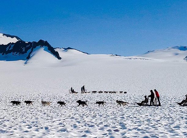 Dog Sledding Adventure Tours Anchorage Alaska